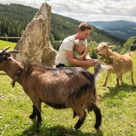 Orthofer Szálloda Sankt Jakob im Walde