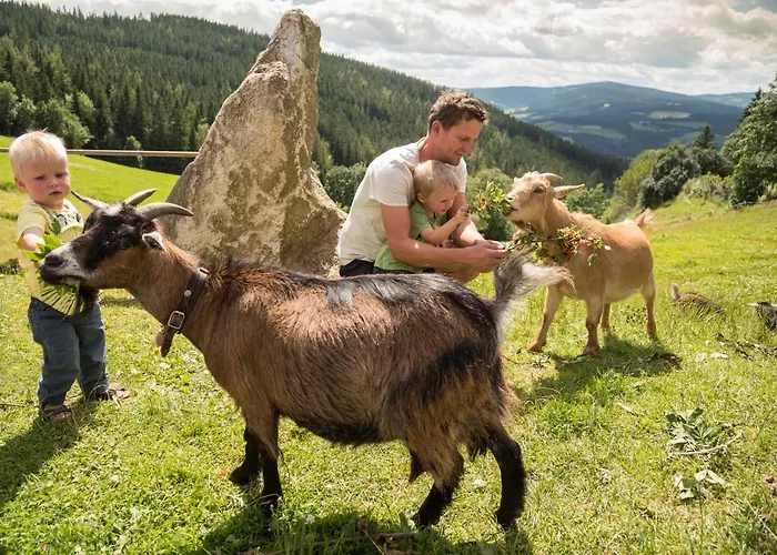 Orthofer فندق سانكت ياكوب إم فالدي