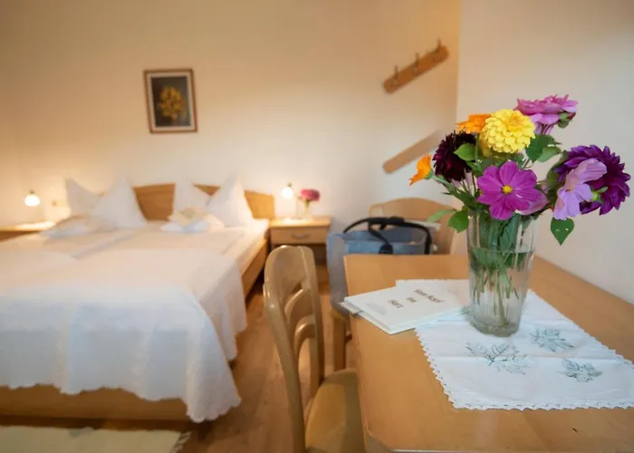 Orthofer فندق 3*