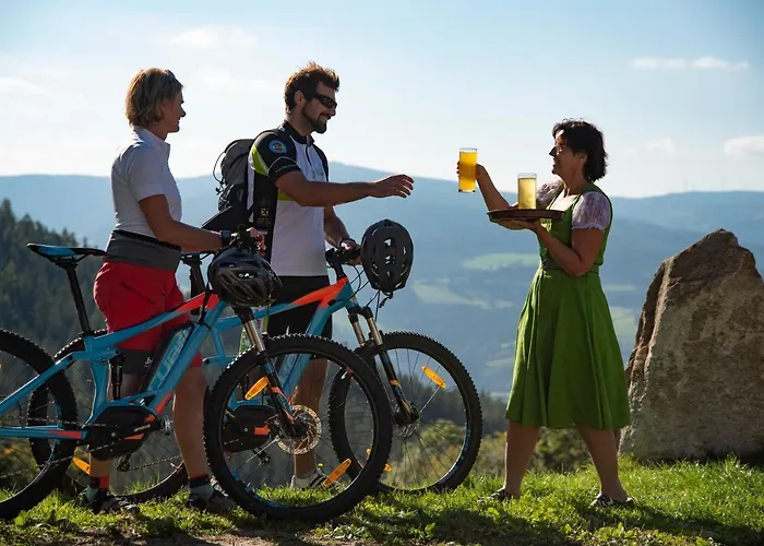 Orthofer سانكت ياكوب إم فالدي