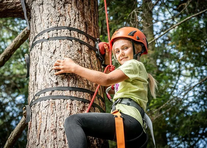 Orthofer سانكت ياكوب إم فالدي